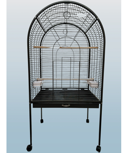 Parrot-Supplies Jacksonville Top Opening Parrot Cage Antique